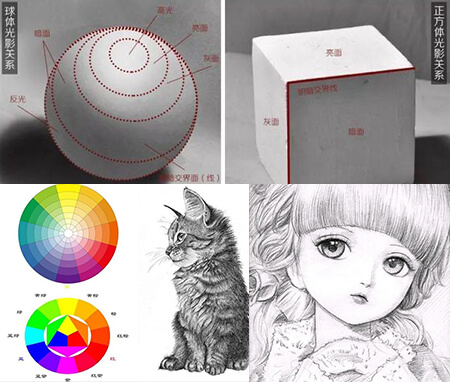 太阳成集团tyc33455cc